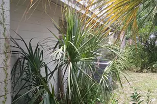 855 N Ridgewood Ave, Ormond Beach, FL 32174 - Photo 35