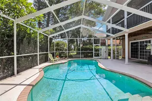 3131 N Canal Dr, Palm Harbor, FL 34684 - Photo 49