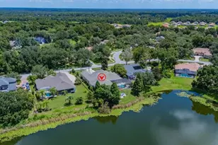6217 Kingbird Manor Dr, Lithia, FL 33547 - Photo 75