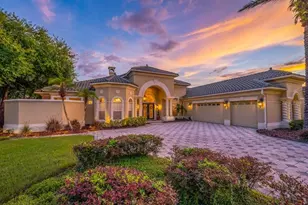 6217 Kingbird Manor Dr, Lithia, FL 33547 - Photo 3