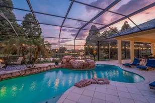 6217 Kingbird Manor Dr, Lithia, FL 33547 - Photo 83