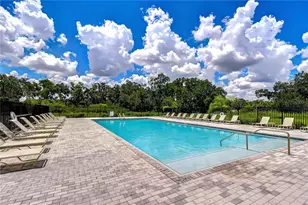35651 Buttonweed Trl, Zephyrhills, FL 33541 - Photo 31