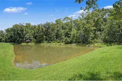 29079 Oxmoor Court, San Antonio, FL 33576 - Photo 5