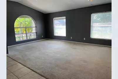 4211 Hartford Lake Drive, Tampa, FL 33619 - Photo 3