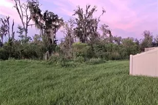 1663 Hazy Sea Dr, Plant City, FL 33565 - Photo 23