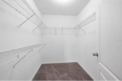12125 Streambed Drive, Riverview, FL 33579 - Photo 45