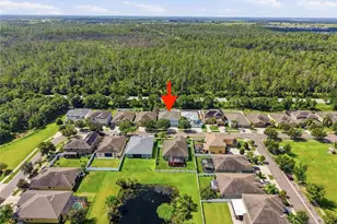 12125 Streambed Dr, Riverview, FL 33579 - Photo 57