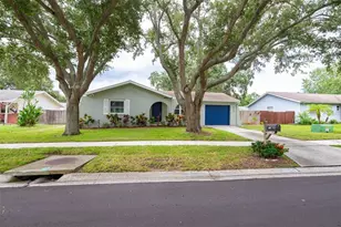 2613 Summit St, Palm Harbor, FL 34683 - Photo 1