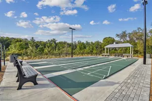 16710 Shell Bay Dr, Land O Lakes, FL 34638 - Photo 49