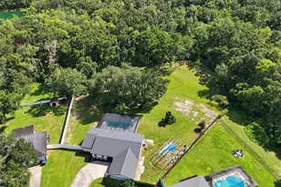 7233 Woodbrook Dr, Tampa, FL 33625 - Photo 51