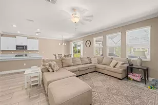 17989 Frame Bend, Land O Lakes, FL 34638 - Photo 13