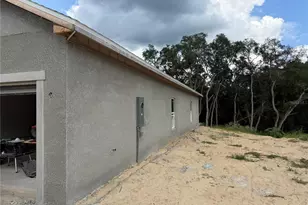 34281 Manuel St, Webster, FL 33597 - Photo 15