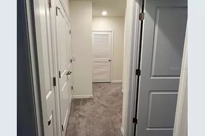 32867 Pez Landing Lane, Wesley Chapel, FL 33543 - Photo 29