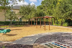 32867 Pez Landing Ln, Wesley Chapel, FL 33543 - Photo 39