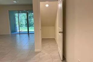 32867 Pez Landing Ln, Wesley Chapel, FL 33543 - Photo 9