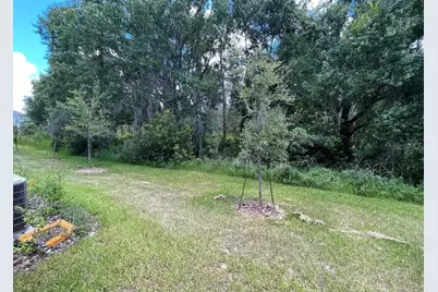 32867 Pez Landing Lane, Wesley Chapel, FL 33543 - Photo 33