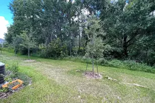 32867 Pez Landing Ln, Wesley Chapel, FL 33543 - Photo 33