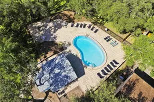 864 Franklin Cir, Palm Harbor, FL 34683 - Photo 31