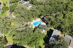 864 Franklin Cir, Palm Harbor, FL 34683 - Photo 31