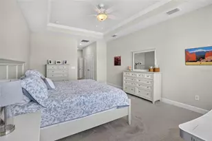 12313 Nora Grant Pl, Riverview, FL 33579 - Photo 27