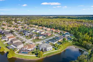 26932 Sea Breeze Way, Wesley Chapel, FL 33544 - Photo 75