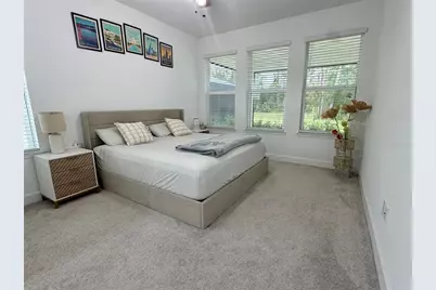 33901 Landsman Loop, Wesley Chapel, FL 33543 - Photo 11