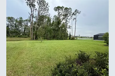 33901 Landsman Loop, Wesley Chapel, FL 33543 - Photo 23