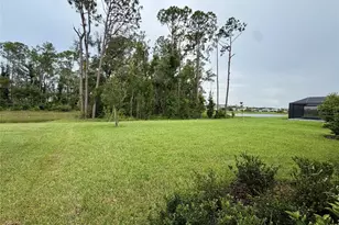 33901 Landsman Loop, Wesley Chapel, FL 33543 - Photo 23