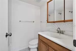 219 Palmetto Ct, Oldsmar, FL 34677 - Photo 11