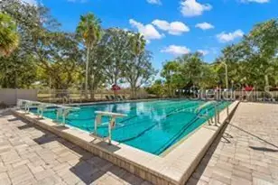 219 Palmetto Ct, Oldsmar, FL 34677 - Photo 13