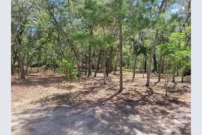 7597 N Brutus Avenue, Dunnellon, FL 34433 - Photo 77