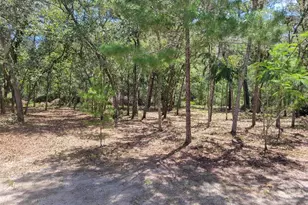 7597 N Brutus Ave, Dunnellon, FL 34433 - Photo 77