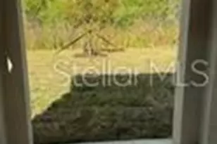 1629 Tropical Oasis Ave, Plant City, FL 33565 - Photo 23