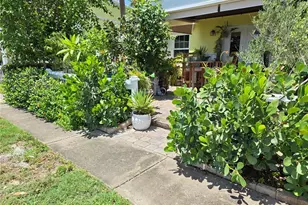 118 Pompano Dr SE, Saint Petersburg, FL 33705 - Photo 57