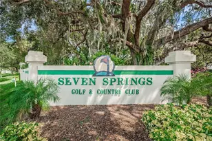 3647 Muirfield Ct, New Port Richey, FL 34655 - Photo 41