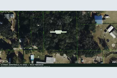 A Street, Zephyrhills, FL 33542 - Photo 1