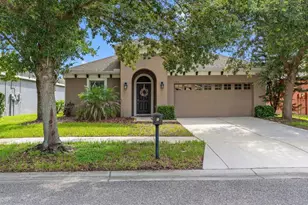 15913 Oakleaf Run Dr, Lithia, FL 33547 - Photo 1