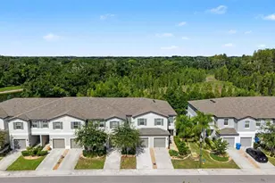 1599 Cassius St, Lutz, FL 33549 - Photo 51