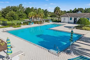 1599 Cassius St, Lutz, FL 33549 - Photo 47