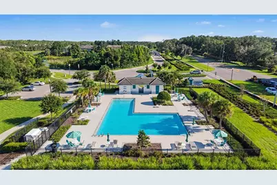 1599 Cassius Street, Lutz, FL 33549 - Photo 49