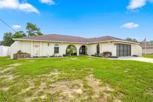 2432 Lake Forest Ave, Spring Hill, FL 34609 - Photo 3