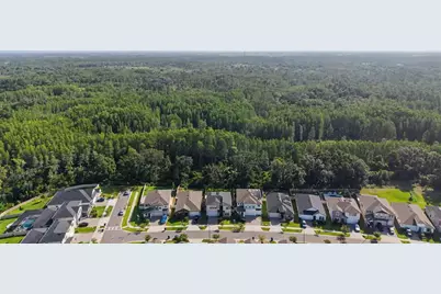9826 Carabiner Way, Land O Lakes, FL 34637 - Photo 53