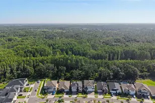 9826 Carabiner Wy, Land O Lakes, FL 34637 - Photo 53
