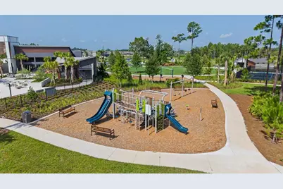 9826 Carabiner Way, Land O Lakes, FL 34637 - Photo 59