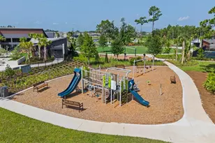 9826 Carabiner Wy, Land O Lakes, FL 34637 - Photo 59