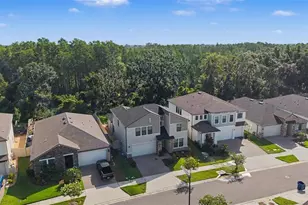 9826 Carabiner Wy, Land O Lakes, FL 34637 - Photo 49