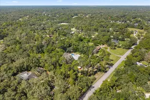 14434 Duane Ct, Spring Hill, FL 34610 - Photo 83