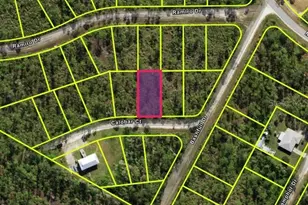 28077 Calobar Ct, Punta Gorda, FL 33955 - Photo 1