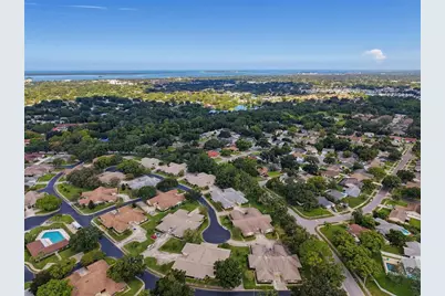1372 Carlisle Court, Dunedin, FL 34698 - Photo 79