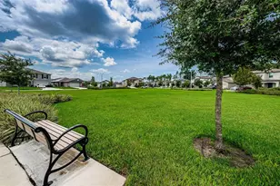 6780 Emerald Spring Loop, New Port Richey, FL 34653 - Photo 79